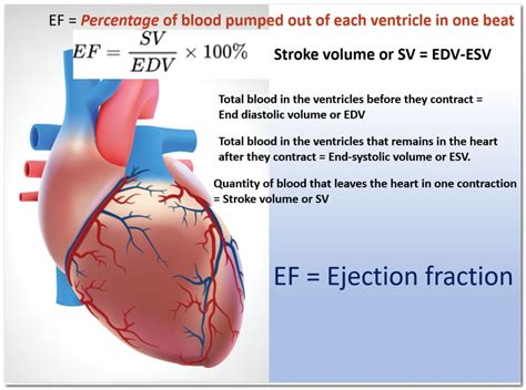 lv dysfunction icd 10|Lv ejection fraction ICD 10.